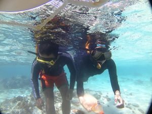 wisata snorkeling di Gili Air