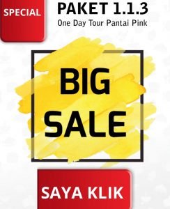 Klik Big Sale Paket 1.1.3 Day Tour Pantai Pink