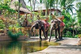lombok elephant park 1